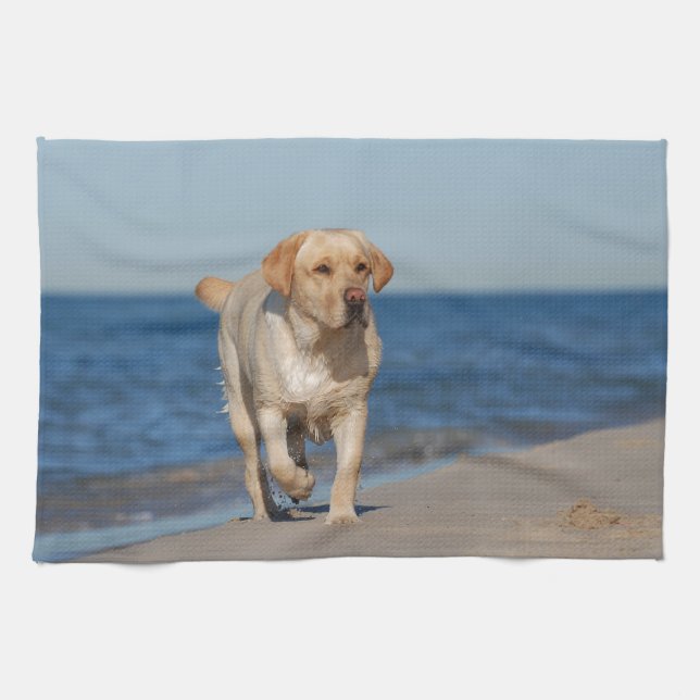 Yellow labrador retriever on the beach kitchen towel (Horizontal)
