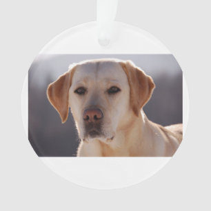 yellow labrador retriever ornament