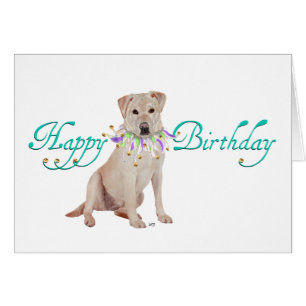 Yellow Labrador Retriever Party