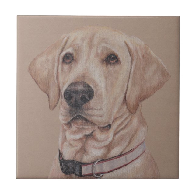 Yellow Labrador Retriever Pet Dog Art Ceramic Tile (Front)