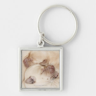 Yellow Labrador Retriever puppies, 10 days old Keychain