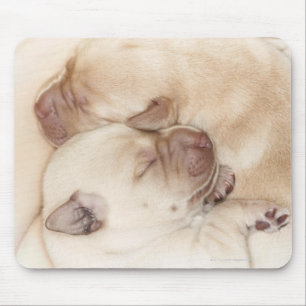 Yellow Labrador Retriever puppies, 10 days old Mouse Pad