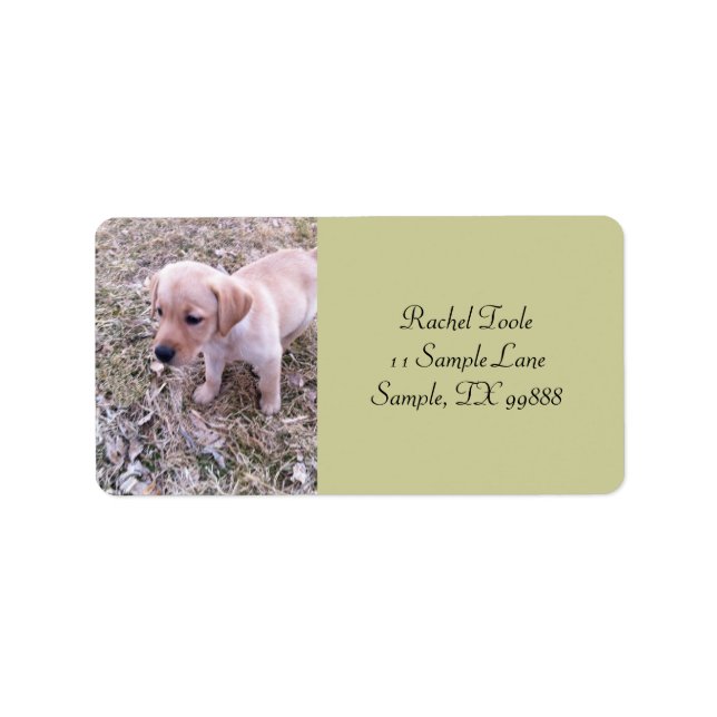 Yellow Labrador Retriever Puppy Address Labels (Front)
