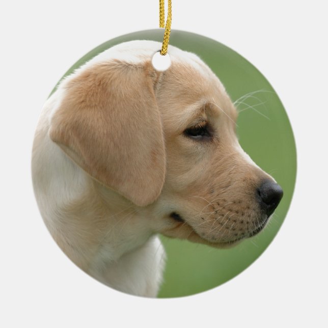Yellow labrador retriever puppy ceramic ornament (Front)