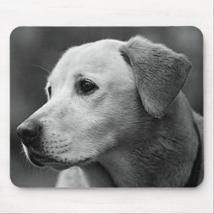 Yellow Labrador Retriever Puppy Dog Mousepad