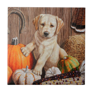Yellow Labrador Retriever Puppy Dog Pumpkin Autumn Tile