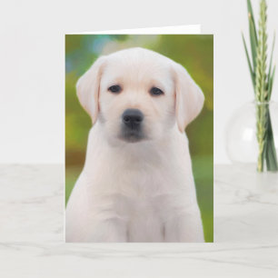 Yellow Labrador Retriever Puppy Greeting Cards