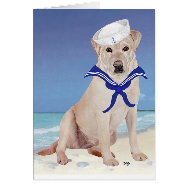 Yellow Labrador Retriever Sailor (Front)