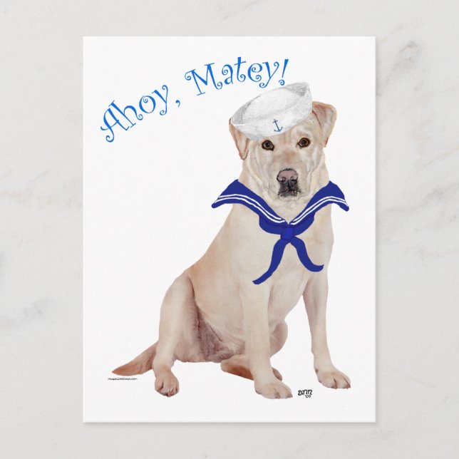 Yellow Labrador Retriever Sailor Postcard (Front)