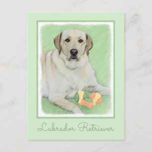 Yellow Labrador Retriever & Tennis Balls Painting Postcard