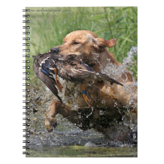 Yellow Labrador Retriever with duck Notebook (Front)