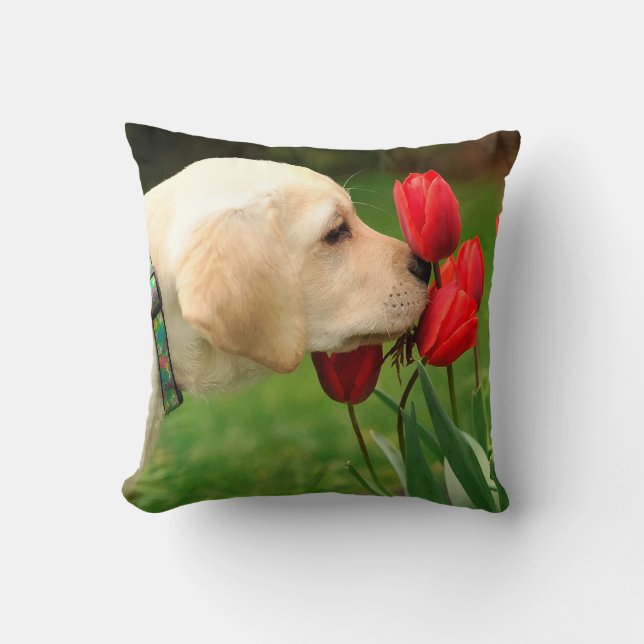 Yellow Labrador - Take Time Throw Pillow (Front)