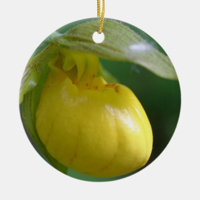 Yellow Lady Slipper Flower Ornament (Front)