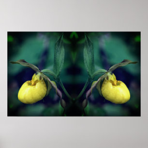 Yellow Lady Slipper Orchid Flower Mirror Abstract  Poster