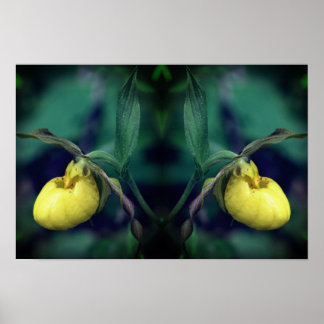 Yellow Lady Slipper Orchid Flower Nature Art Poster