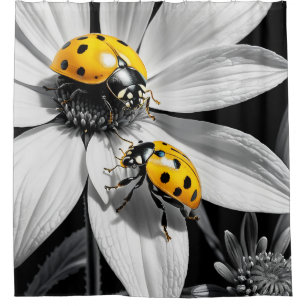Yellow Ladybugs Beetle On Black White Flower