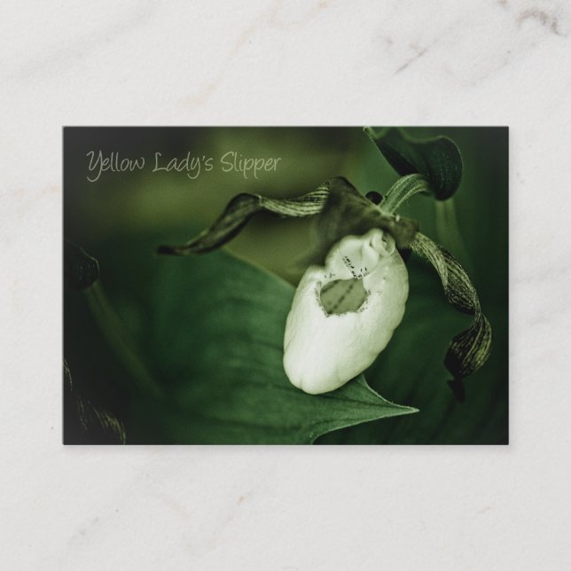 Yellow Lady's Slipper Business Card (Front)