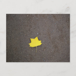 Yellow Leaf Photo Postcard