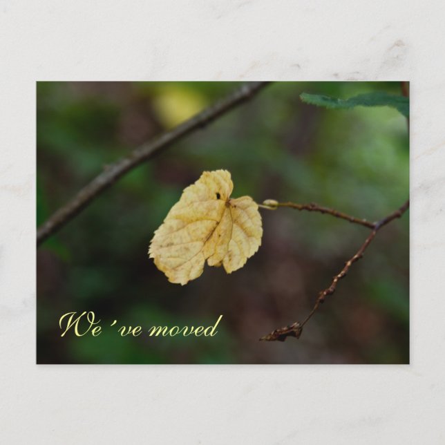 Yellow leaf we´ve moved postcard (Front)