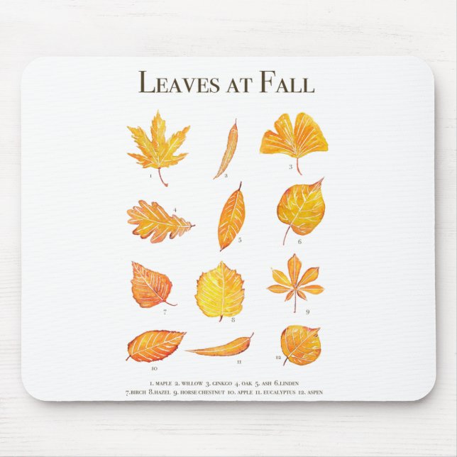 yellow leaves at fall collection mouse pad (Front)