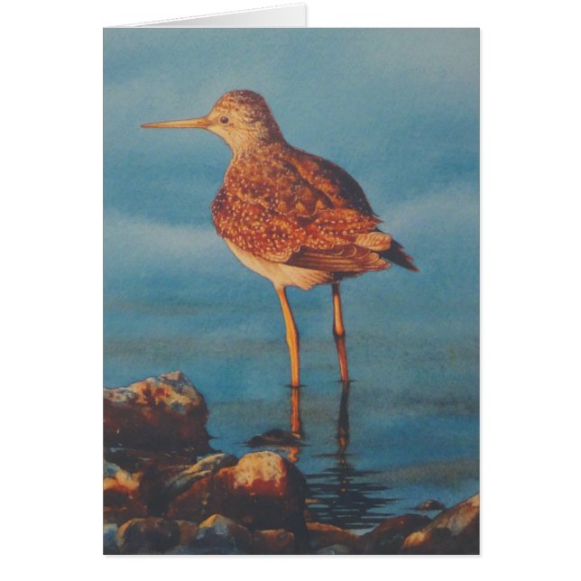 Yellow Legs (Front)