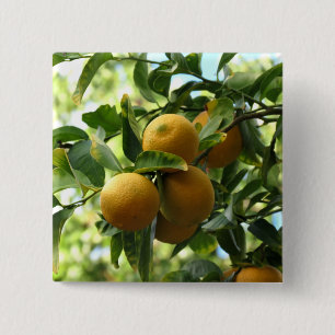 Yellow Lemons On The Tree 2 Inch Square Button