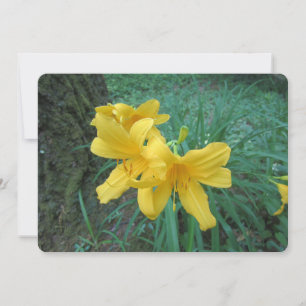 Yellow Lilies Holiday Card