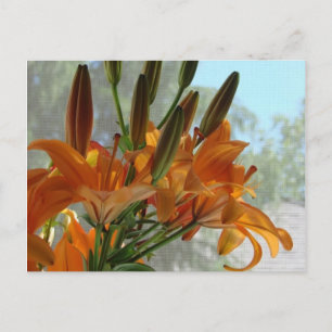 Yellow lilies postcard