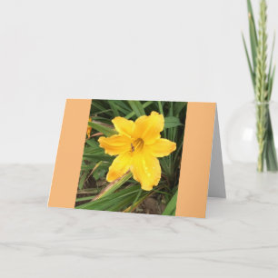 Yellow Lilly Card