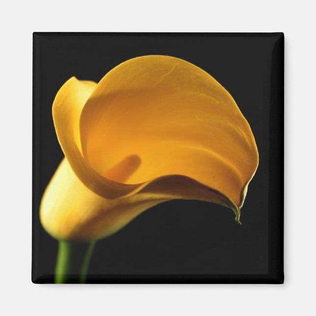Yellow Lilly Magnet (Front)