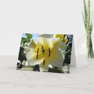 Yellow Lily Blank Greeting Card