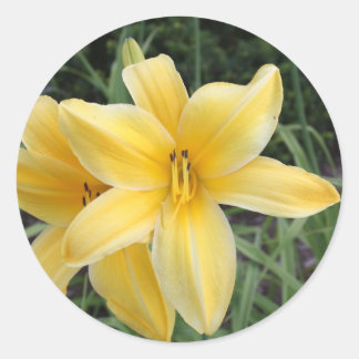 Yellow Lily Classic Round Sticker