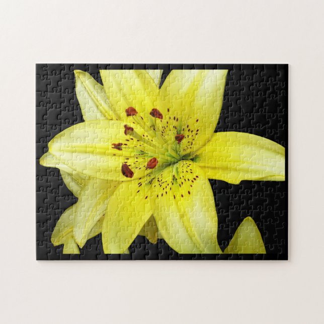 Yellow Lily Close-up Jigsaw Puzzle (Horizontal)