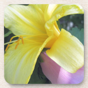 Yellow Lily Coaster