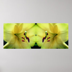Yellow Lily Flower Petals Mirror Abstract Poster