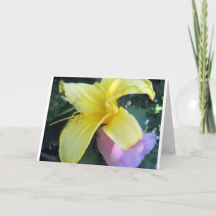 Yellow Lily Holiday Card