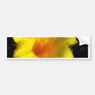 Yellow Lily Photograph Bumper Sticker