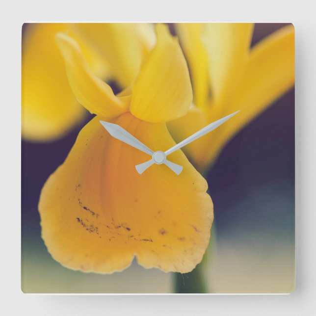 Yellow lily square wall clock (Front)