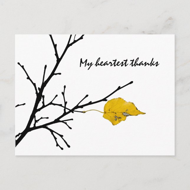 Yellow Lime Tree Leaf Postcard (Front)