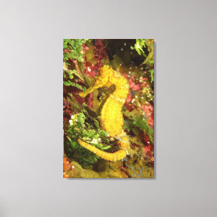 Yellow longsnout seahorse canvas print