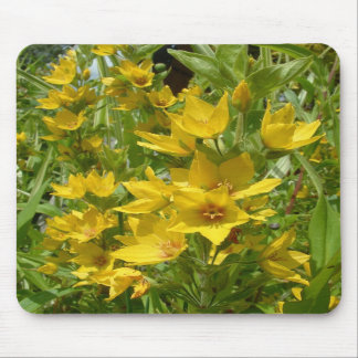 Yellow Loosestrife Mousemat Mouse Pad