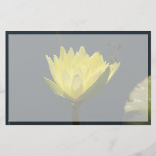 Yellow Lotus Waterlily Flower