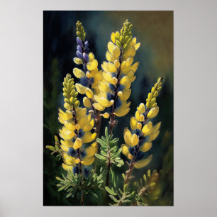 Yellow Lupine Flower Art Print Poster