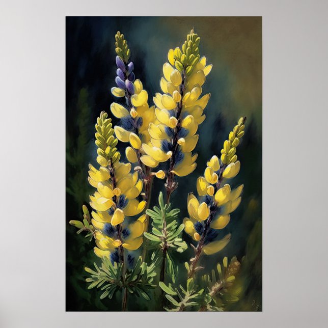 Yellow Lupine Flower Art Print Poster (Front)