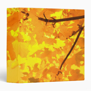 Yellow Maple Avery Binder