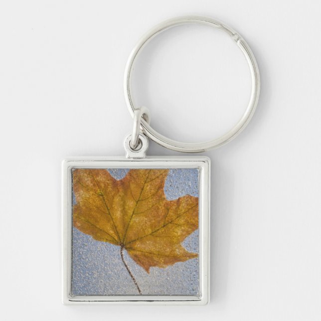 Yellow Maple Leaf Under Water Keychain (Front)