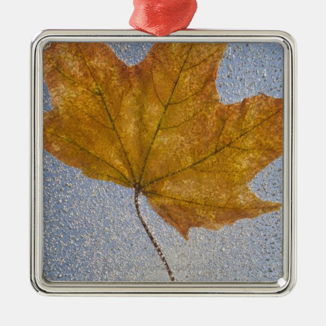 Yellow Maple Leaf Under Water Metal Ornament (Front)