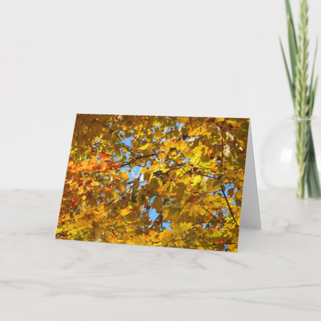 Yellow Maple Leaves and Blue Sky Card (Front)