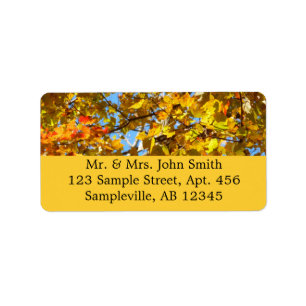 Yellow Maple Leaves and Blue Sky Label