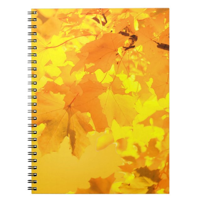 Yellow Maple Notebook (Front)